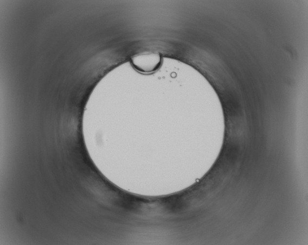 X0000114150309200910081118