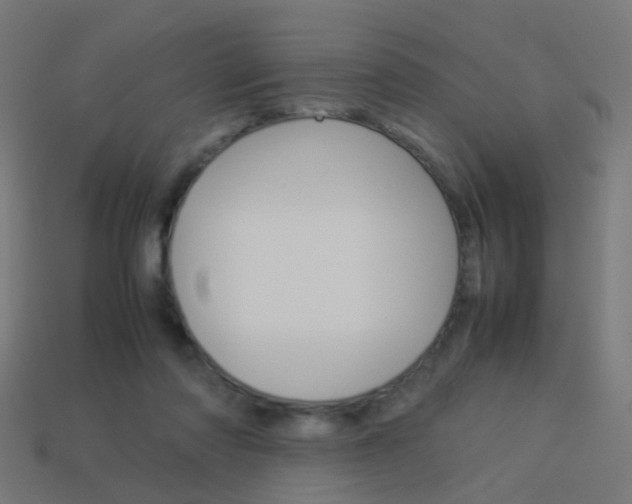 X0000114150310200910081118