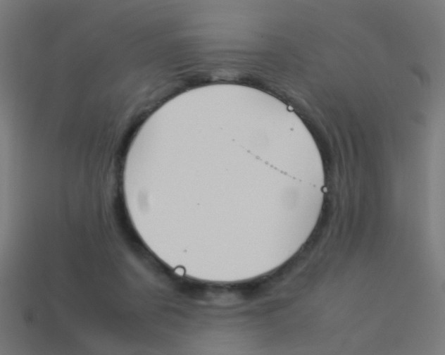 X0000114150311200910081118
