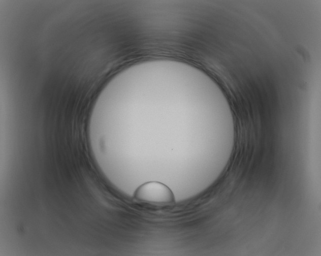 X0000114150312200910081118