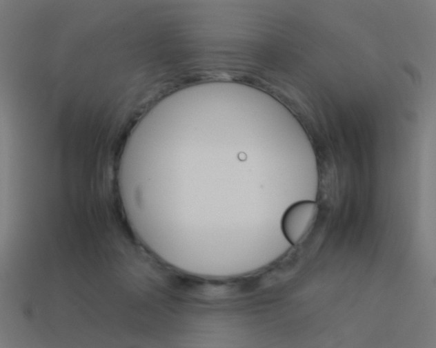 X0000114150314200910081118