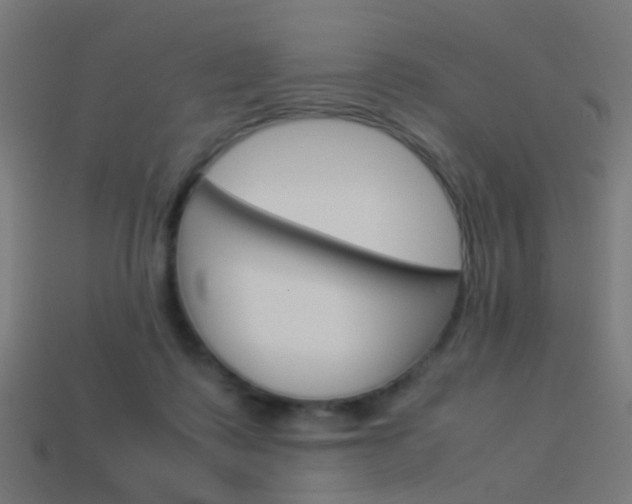 X0000114150315200910081118