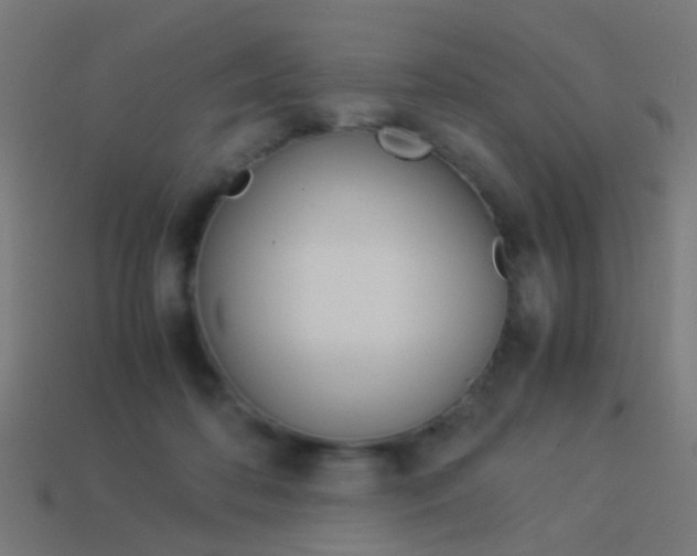 X0000114150316200910081118