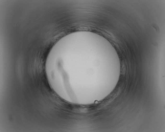 X0000114150318200910081118