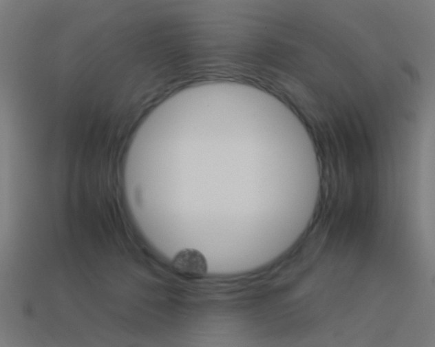 X0000114150320200910081118