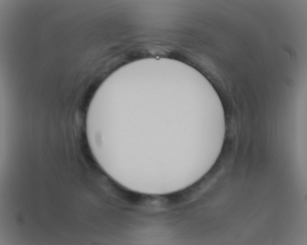 X0000114150321200910081118