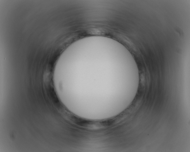 X0000114150322200910081118