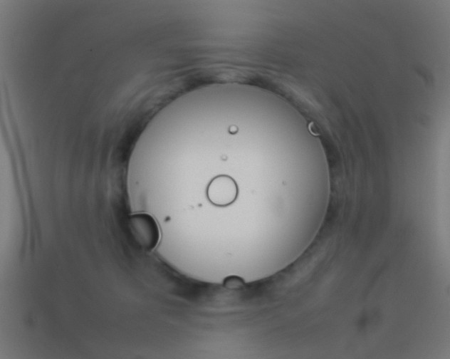 X0000114150325200910081118