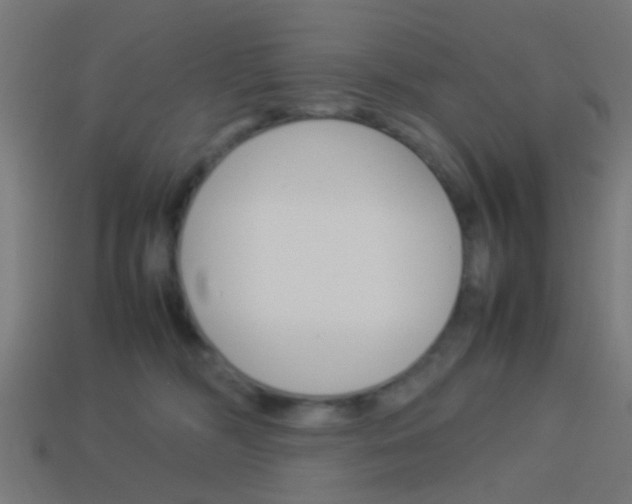 X0000114150326200910081118