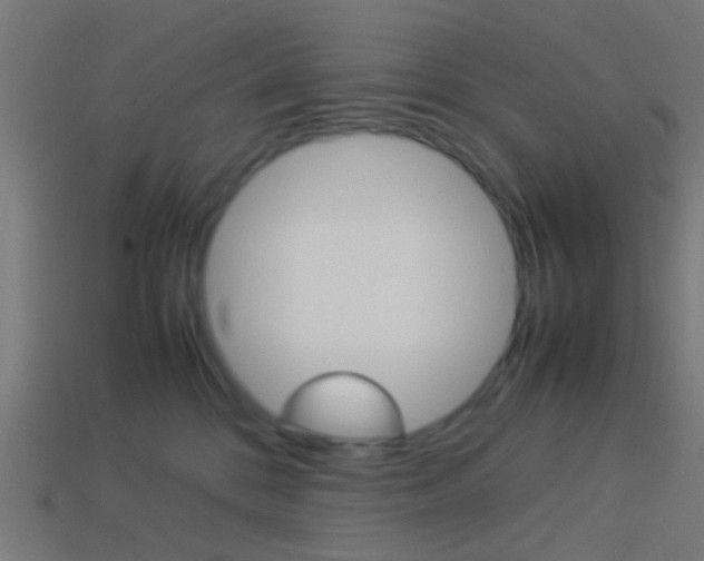 X0000114150328200910081118