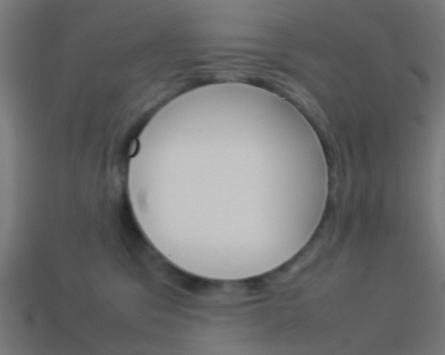 X0000114150329200910081118