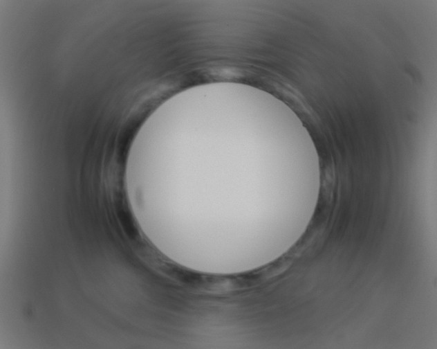 X0000114150330200910081118