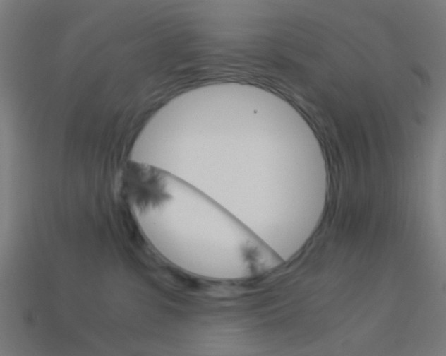 X0000114150331200910081118