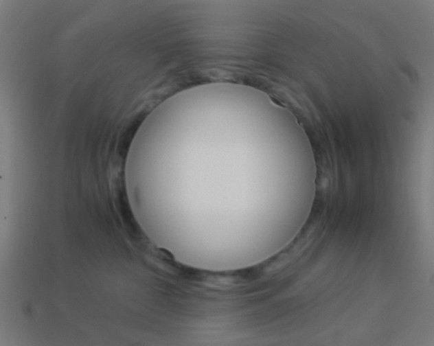 X0000114150332200910081118