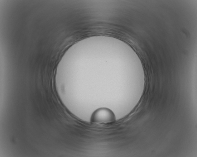 X0000114150333200910081118