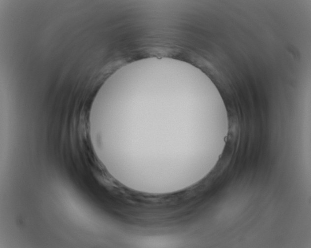 X0000114150334200910081118