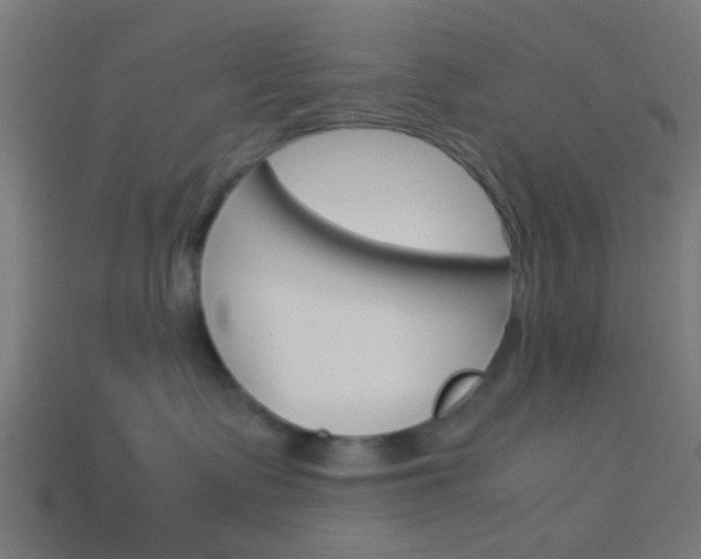 X0000114150335200910081118