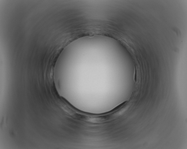 X0000114150336200910081118