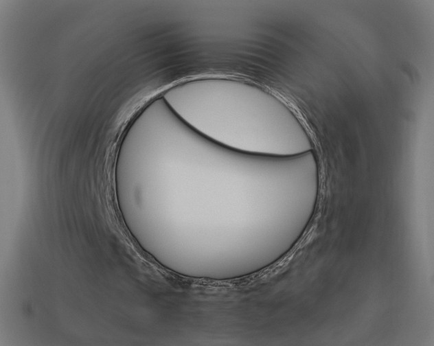 X0000114150337200910081117
