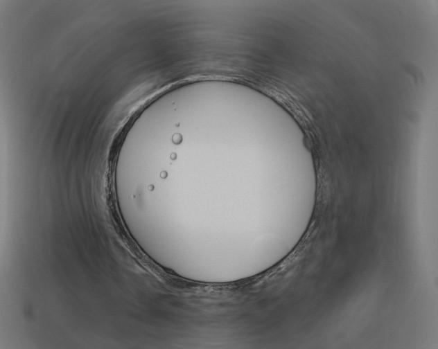 X0000114150338200910081117