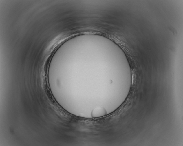 X0000114150339200910081117