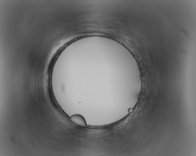 X0000114150342200910081117