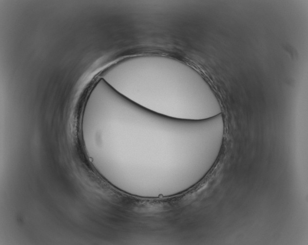X0000114150343200910081117