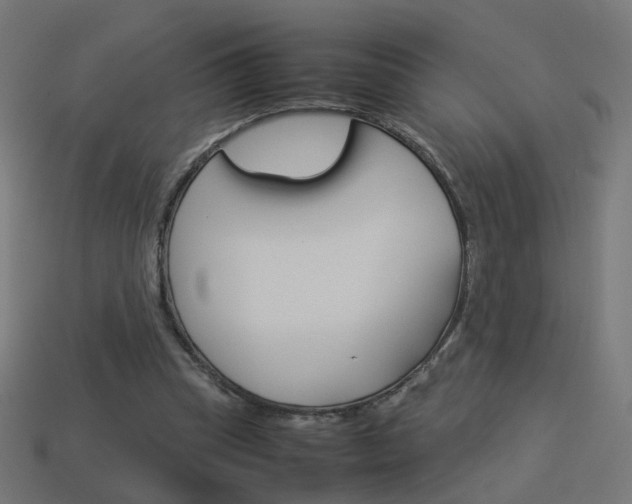 X0000114150345200910081117