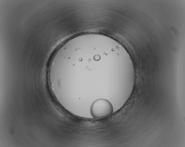 X0000114150346200910081117