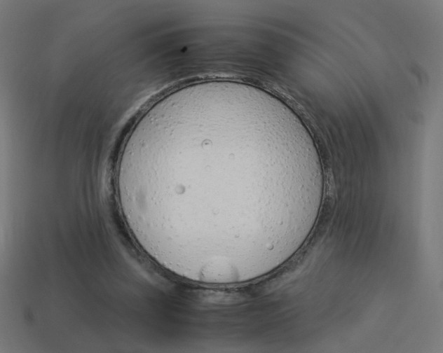 X0000114150347200910081117