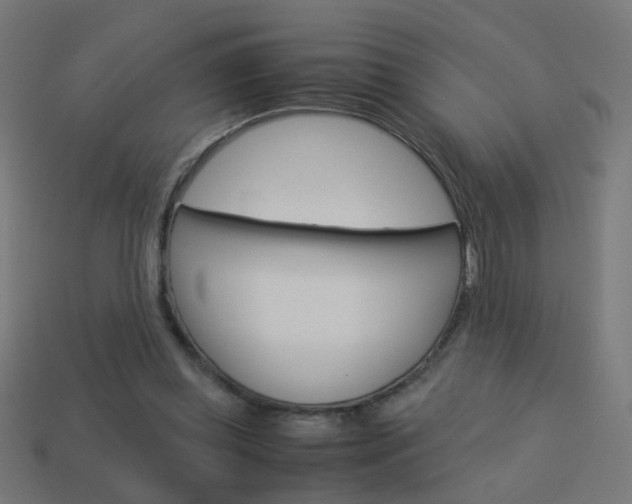 X0000114150349200910081117