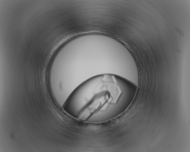 X0000114150350200910081117