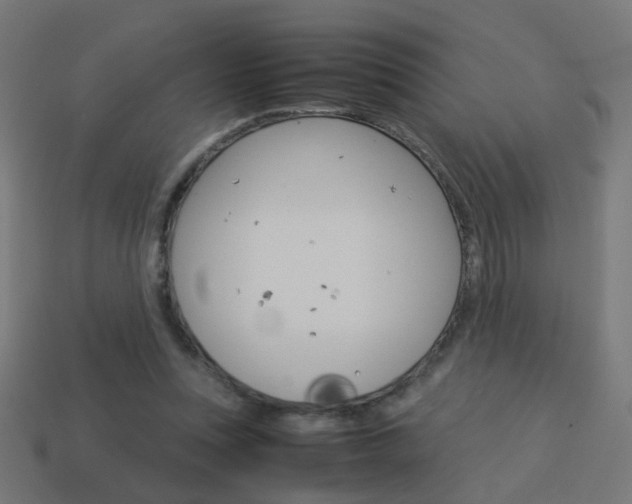 X0000114150351200910081117