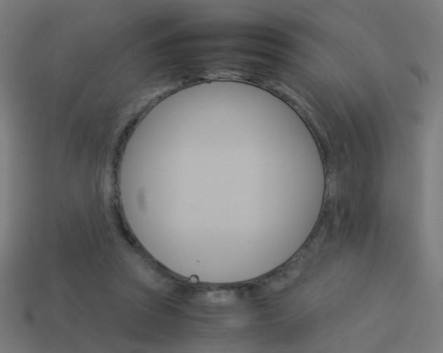 X0000114150353200910081117