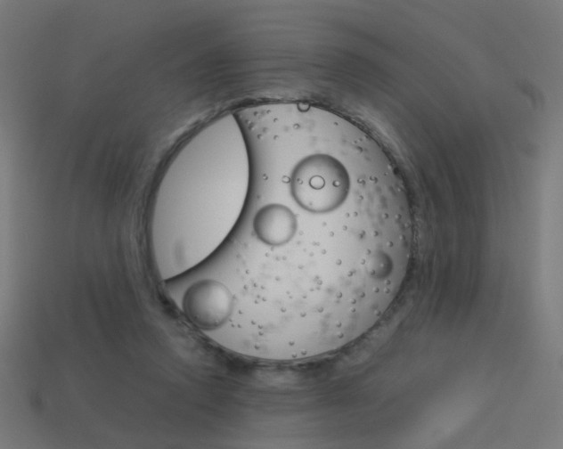 X0000114150354200910081117