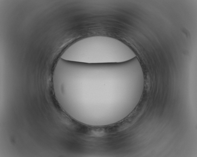 X0000114150355200910081117