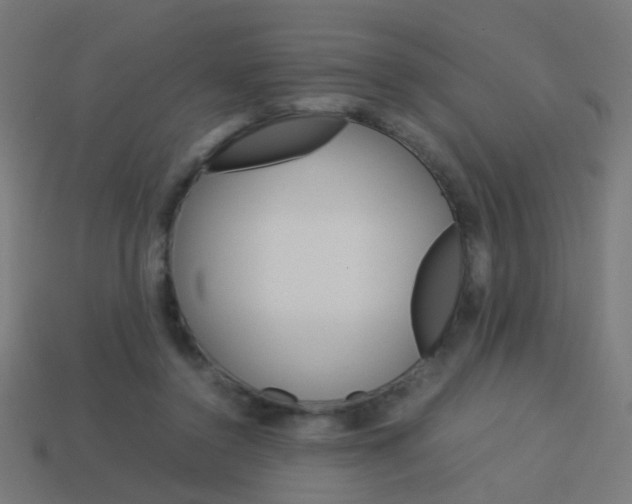 X0000114150356200910081117
