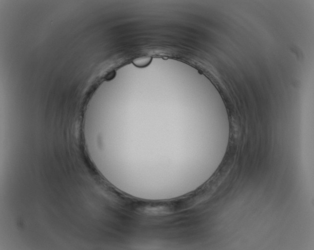 X0000114150357200910081117