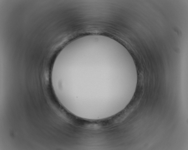 X0000114150358200910081117