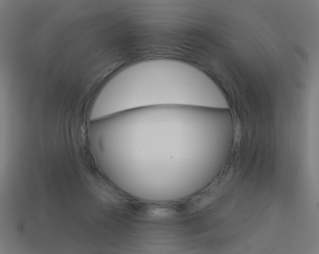 X0000114150360200910081118