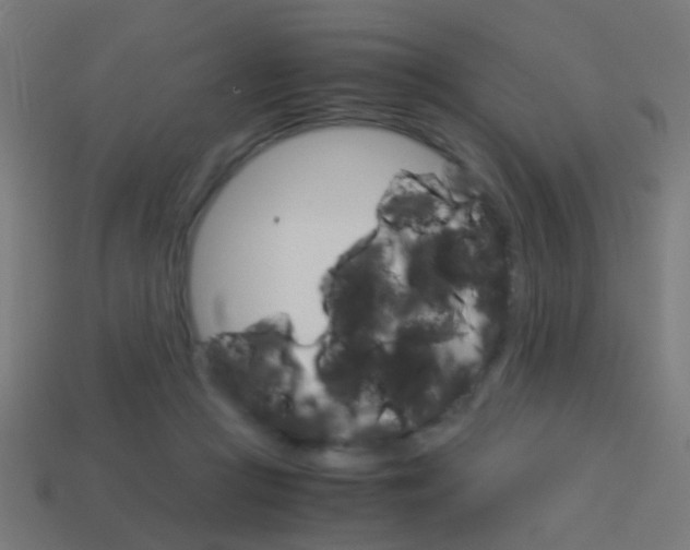 X0000114150361200910081118