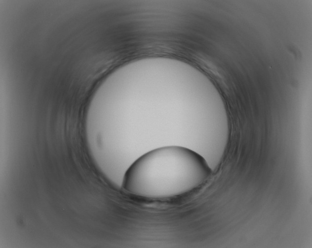 X0000114150362200910081118