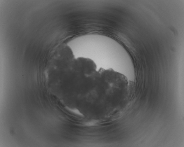 X0000114150363200910081118