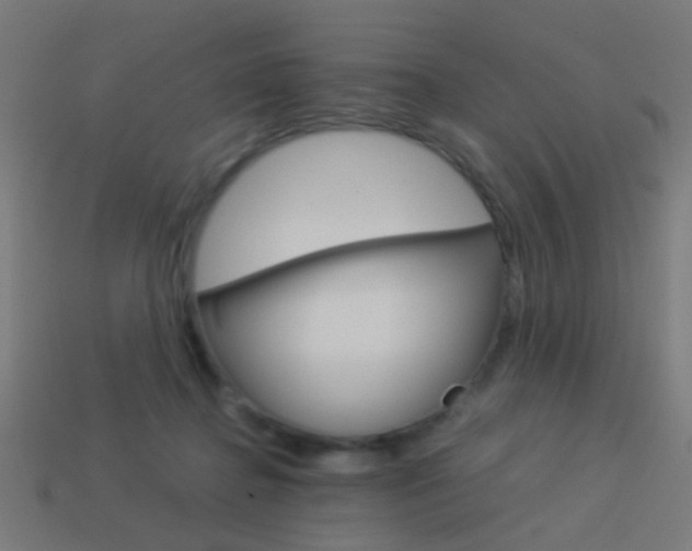 X0000114150364200910081118