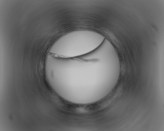 X0000114150365200910081118