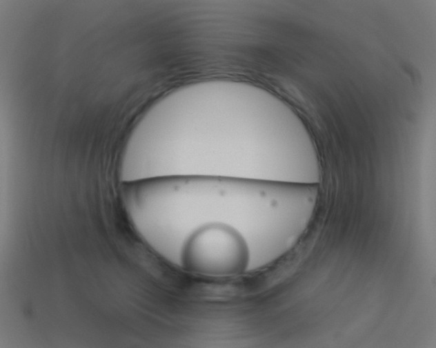 X0000114150366200910081118