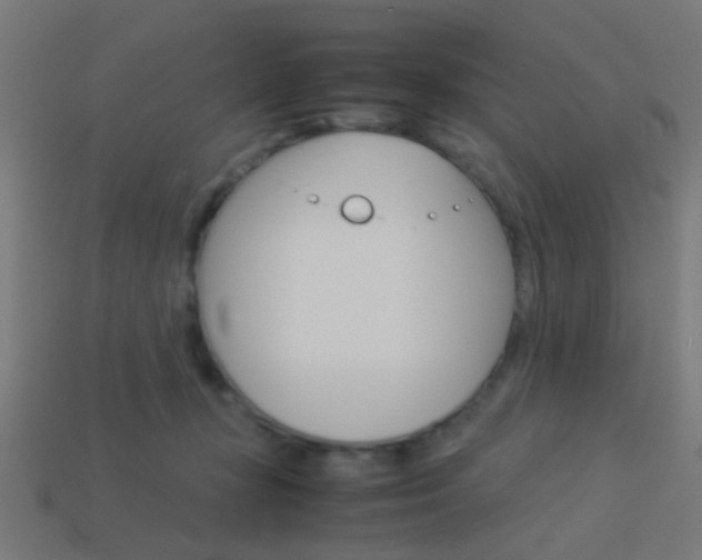 X0000114150367200910081118