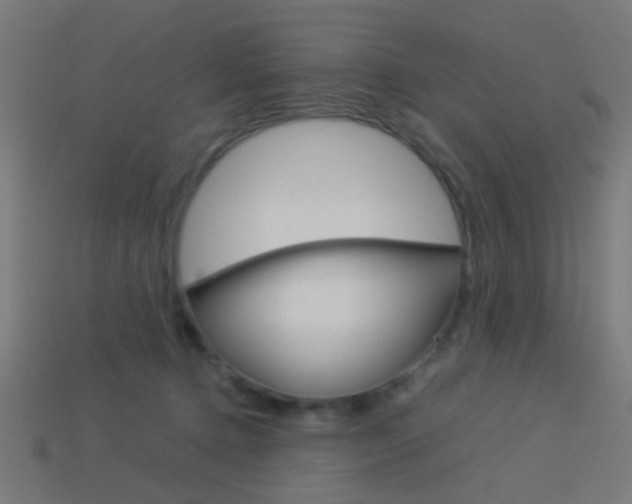 X0000114150368200910081118