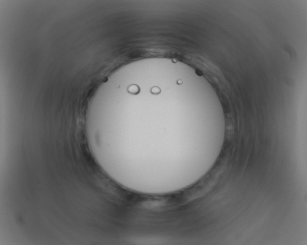 X0000114150369200910081118