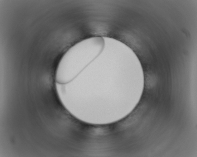 X0000114150370200910081118